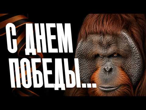 Мы живем в самой кринжовой стране. Что опять случилось в России?