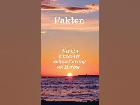 Fakten, Liebe, Sprüche, Zitat, Kummer, Freundschaft YouTube