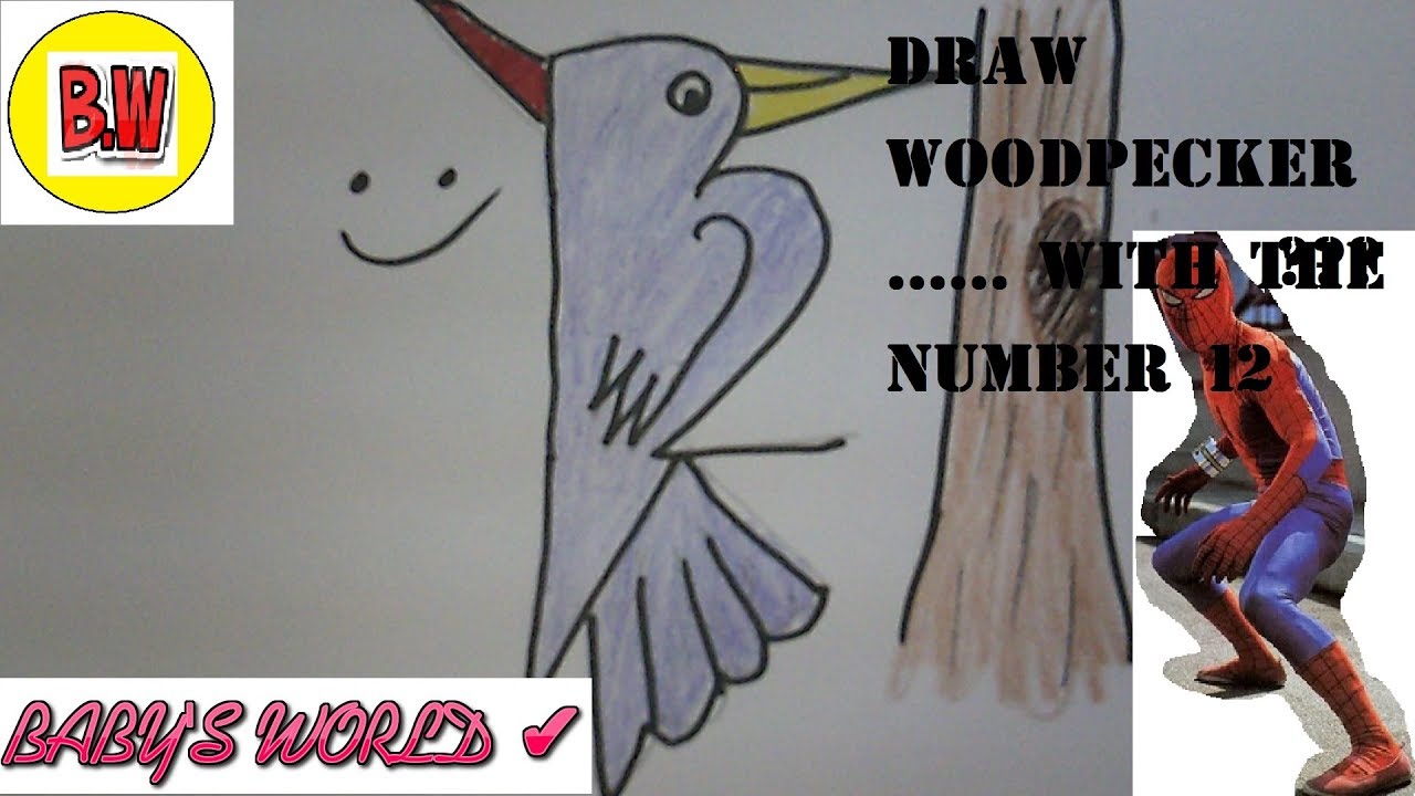 draw woodpecker ...... with the number 12-Teach simple drawing for children