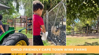 Child-friendly Wine Farms in Cape Town #travelvlog #southafricanyoutuber