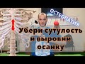 Как убрать сутулость и кифоз без корсета. Остеопатия