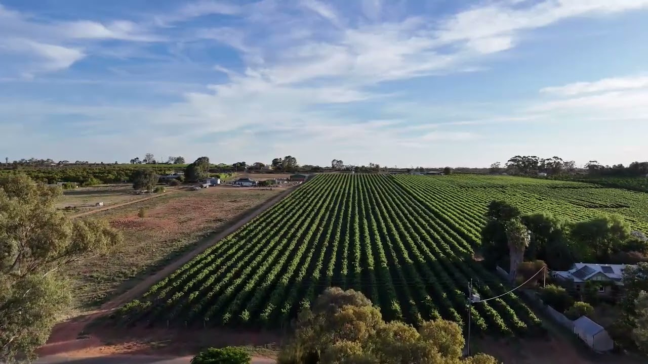 Kingston on Murray Nov  2024