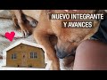 🏠 Capítulo 3 de &quot;Viviendo en el campo&quot; -  Les presento a EVO ♥