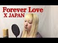 Forever Love - X JAPAN Vocal cover