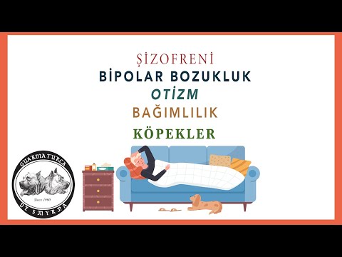 Şizofreni, Bipolar Bozukluk, Otizm, Bağımlılık ve Köpekler