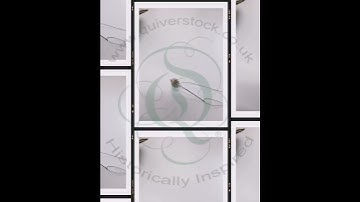 How We Make a Fabric Button | Quiverstock