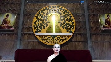 8a| Học Pháp với Sư Thanh Minh Ngày 12/11/2025