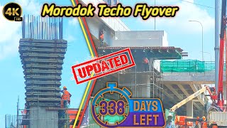 338 Days Left! Morodok Techo Flyover Construction Update! [2024]