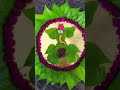 Vetrilai Paaku – A symbol of prosperity &amp; blessings 🌿✨