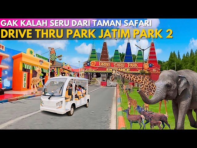 DRIVE THRU PARK BATU MALANG Terbaru ‼ Gak Kalah Seru dari Taman Safari class=