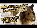 なぜ、犬になろうと思ったのか 質問に答えます!【着ぐるみ】