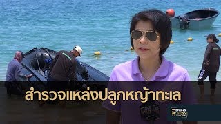 วศ.ทร. สำรวจหญ้าทะเล หมู่เกาะแสมสาร จ.ชลบุรี | 9 พ.ค.61 | ตามข่าวเที่ยง