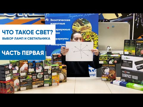 Что такое свет? Выбор ламп и светильника для террариума. Часть 1