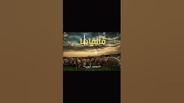وَمَا تِلْكَ بِيَمِينِكَ يَا مُوسَىٰ (17)، سوره طه #قرآن #المصحف #محمد_ايوب