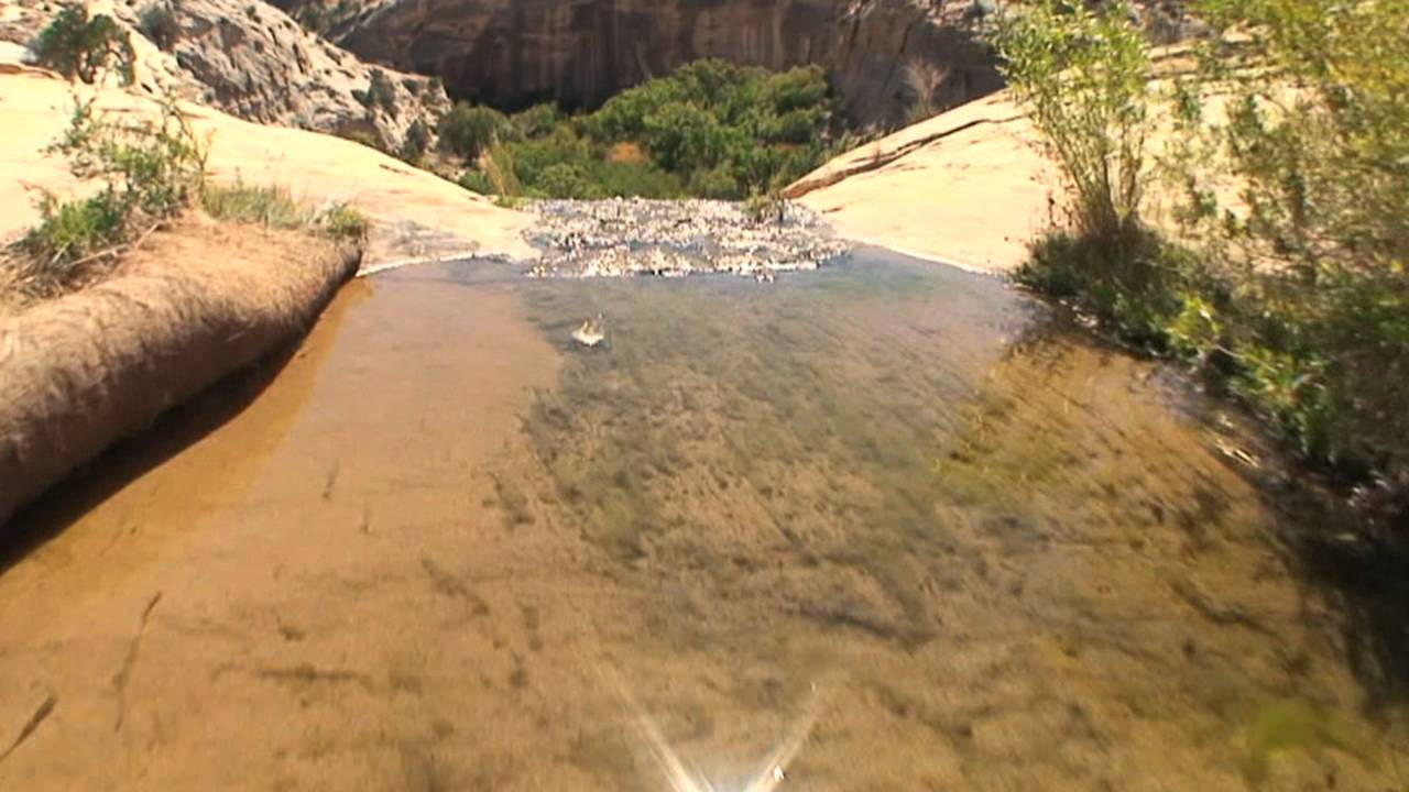 Upper Calf Creek Falls - Video - Click to Play