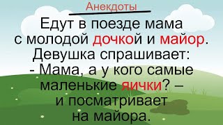 Девушка Майор И Яички… Подборка Смешных Жизненных Анекдотов Лучшие Короткие Анекдоты