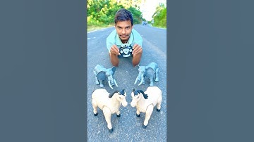 Remote control horse vs elephant unboxing 🔥