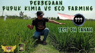 KIMIA VS ECO FARMING... ECO FARMING BOHONGAN? || PADI - EPS 03 PART 01