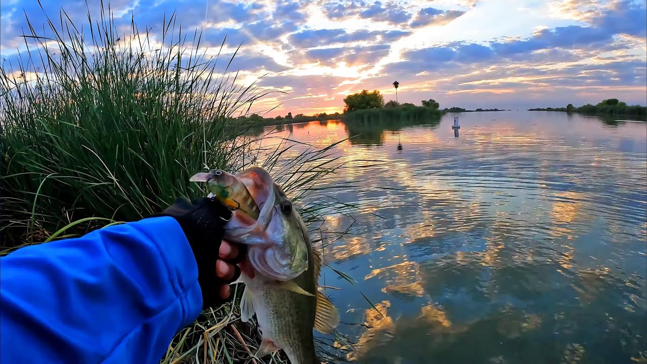 Bass Fishing During The Fall Transition (Buena Vista Lake Bakersfield, Ca)