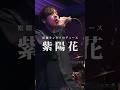 【松隈ケンタプロデュース】紫陽花 / イノイタル #イノイタル #live #松隈ケンタ