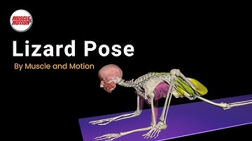 Lizard Pose: Achieve Optimal Hip Mobility