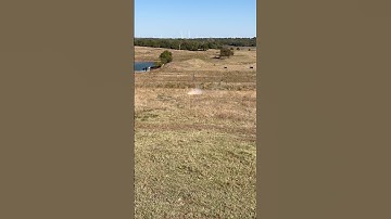 Pumpkin vs 1/2 ibs of Sonic Boom 💥 Binary Explosive target.