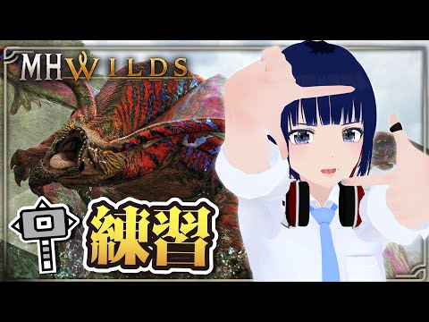 装衣&オトモ無しウズ・トゥナ ハンマー6分半台目指して！！【MHWilds】#MHWilds #モンハンワイルズ #vtuber #CCJP