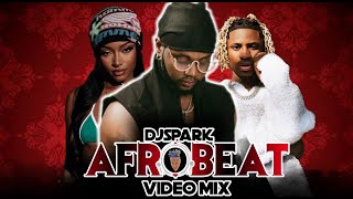BEST NEW AFROPARTY VIDEO MIX 2024 BY DJ SPARK | NAIJA AFROBEAT VIDEO MIX FT KIZZ DANIEL,AYRA STARR