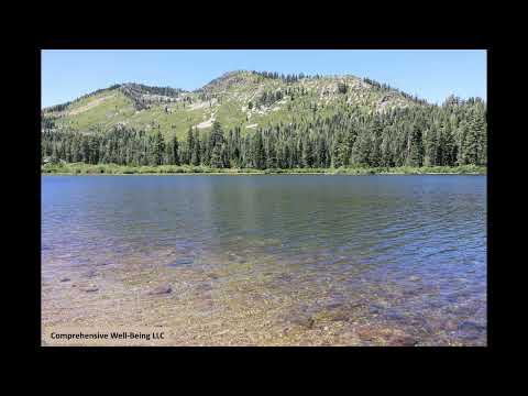 A Moment to Trust Yourself Guided Reflection - Michelle Reugebrink (10 Minutes)