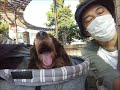 Nonta and Me
