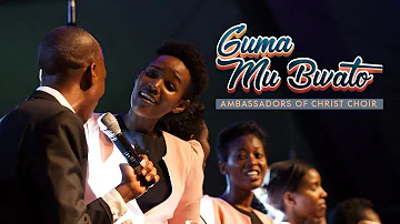 GUMA MUBWATO Official Video, Ambassadors of Christ Choir 2022. All rights reserved