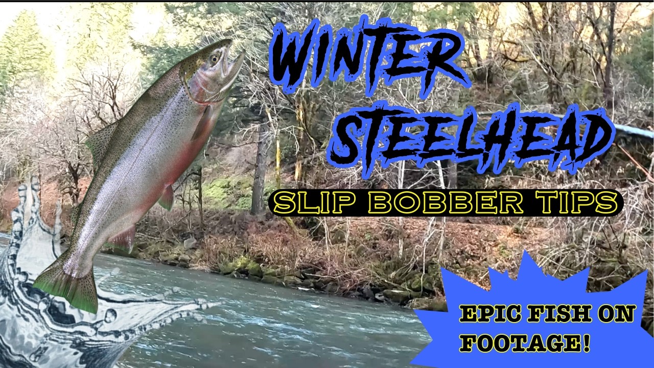 Winter Steelhead Fishing: Low Water Tactics