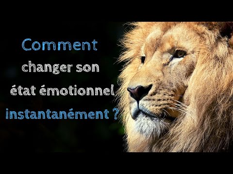 Vidéo: Comment Comprendre Votre état émotionnel