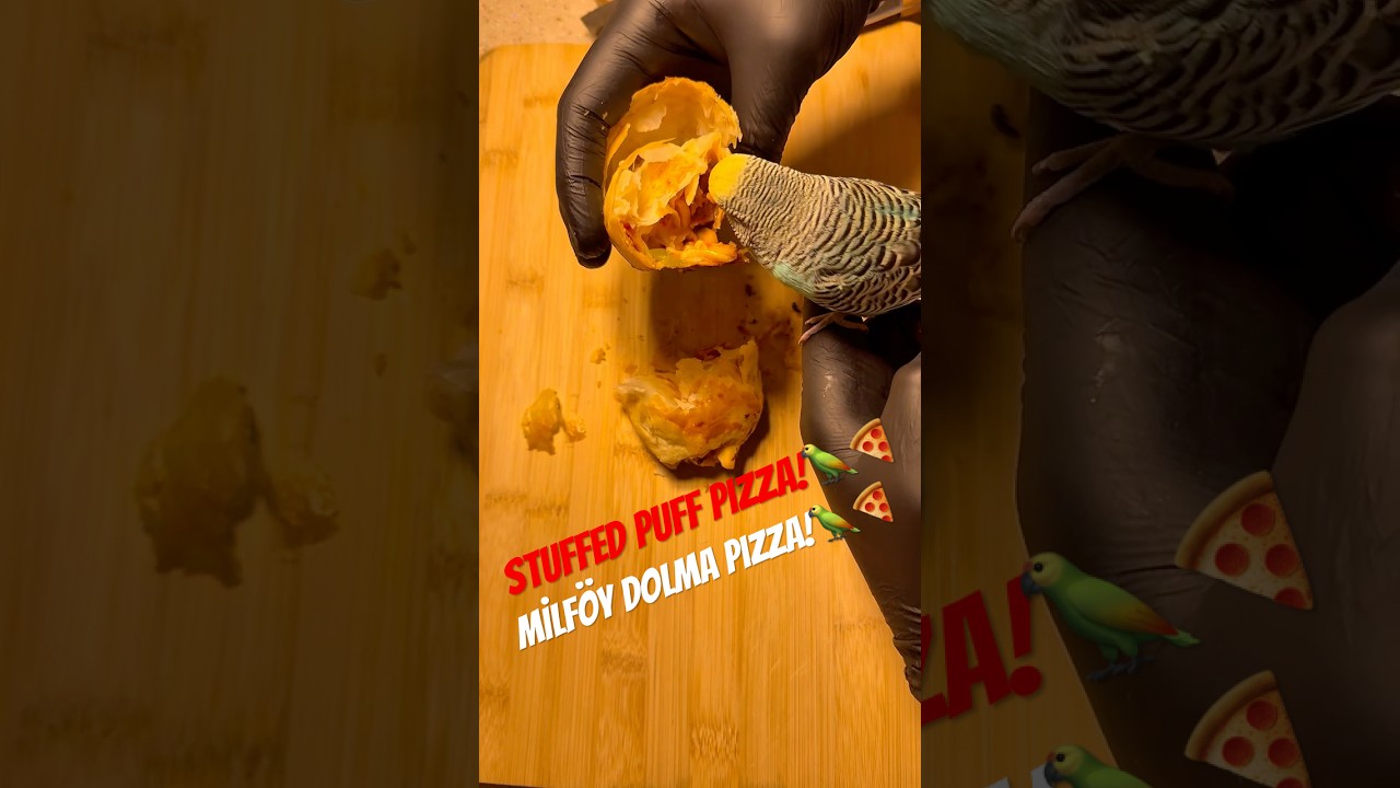 Stuffed Puff Pastry Pizza🦜🍕/ Milföy Dolma Pizza🦜🍕