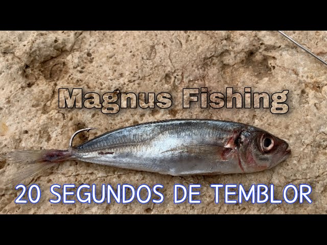 PESCA EN ACANTILADOS 2021🇪🇸Magnus Fishing class=