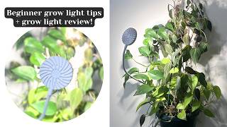 3 Beginner grow light tips + SANSI grow light review 🪴
