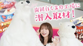 南国白くまDX詰め合わせ(SDX－43): JA鹿児島県経済連 鹿児島の味