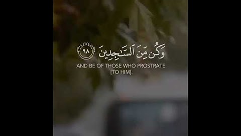 تلاوة طيبة للشيخ اللقارئ أبي عثمان موسى المشدلي رحمه الله