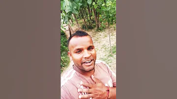 Please Subscribe To My Channel Hindisong Music Song Love Bollywood Bolleywoodsong 