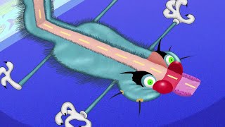 Oggy and the Cockroaches  CAT OR CAR  Full Episodes HD