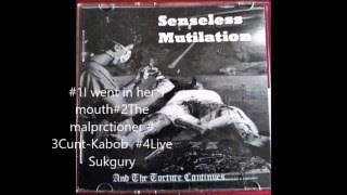 Video thumbnail of "SENSELESS MUTILATION /And The Torture Continues"