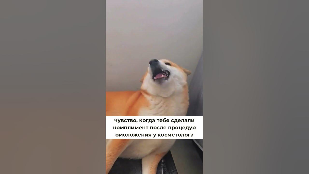 [ДВАЧ] КАК ВЫ РЕАГИРУЕТЕ НА ТЕХ КТО ВЛЮБЛЕН В ВАС БЕЗОТВЕТНО? - YouTube