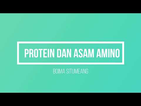 Video: Apakah monomer asam amino?
