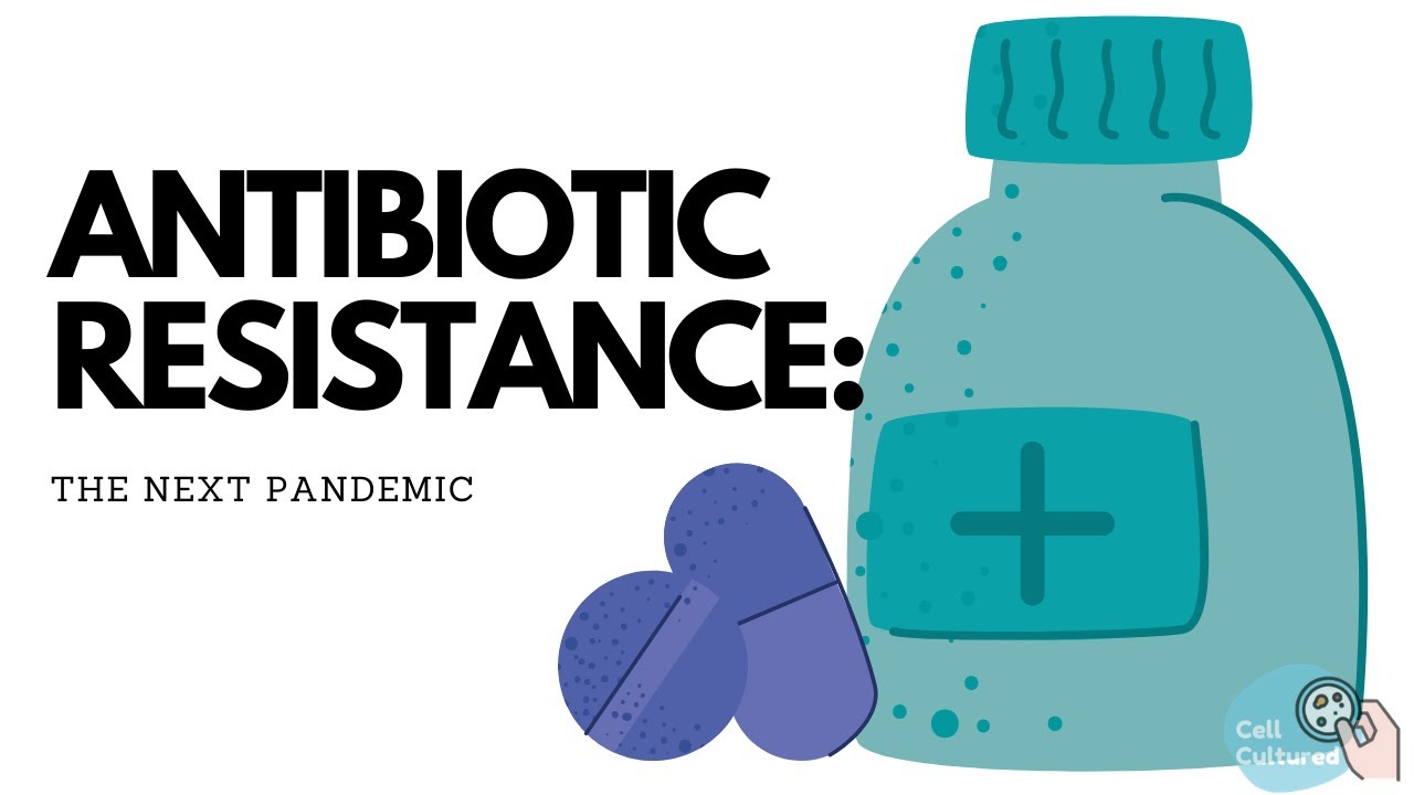 Antibiotic Resistance: The Next Pandemic - YouTube