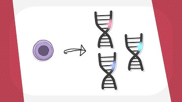 Acute myeloid leukemia: Genetic changes