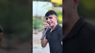 Şah Gurup Halay  2023 (Halay)Videoları