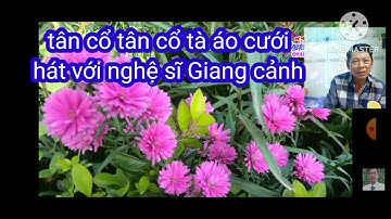 16 TC TÀ ÁO CƯỚI nghệ sĩ giang cảnh 2 thiếu đào