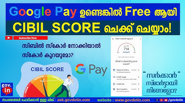 Check your Cibil score free on google pay Malayalam ഗൂഗിൾ പേയിൽ സൗജന്യമായി സിബിൽ സ്കോർ പരിശോധിക്കാം.