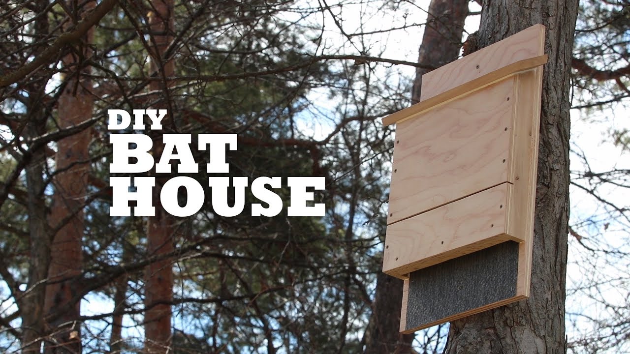 DIY Bat House - YouTube