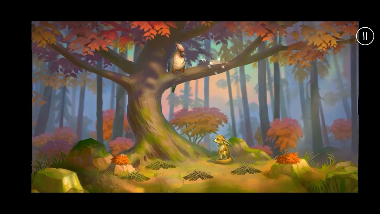 How Fennec Fox Built a Home 